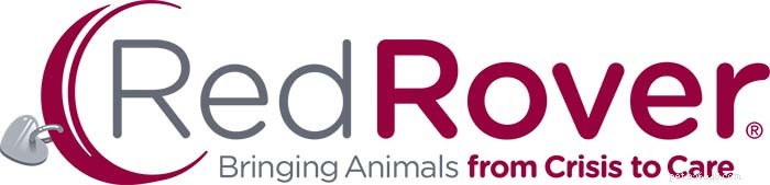 Affordable Strategies for High-Cost Pet Surgeries