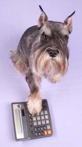 Affordable Strategies for High-Cost Pet Surgeries