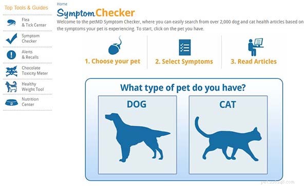 Identify Your Dog’s Health Issues Quickly: Top 5 Online Symptom Checkers