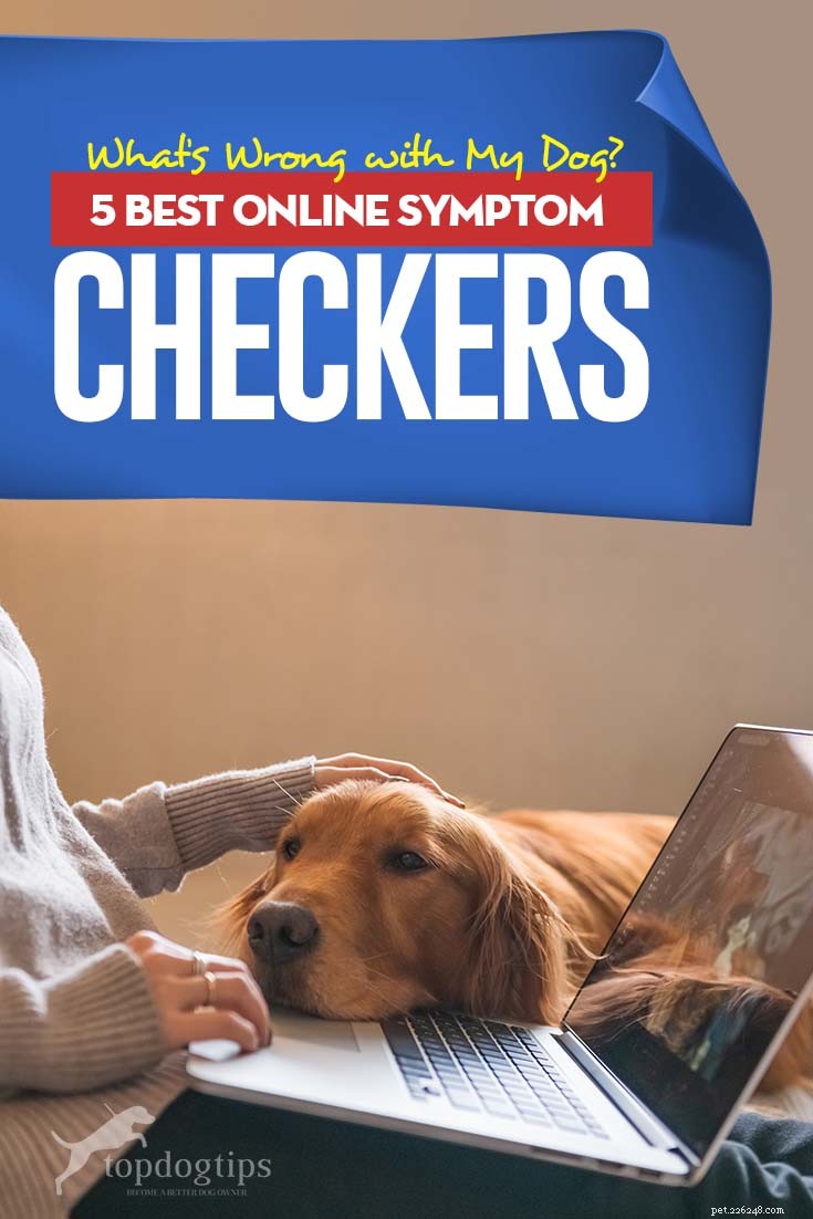 Identify Your Dog’s Health Issues Quickly: Top 5 Online Symptom Checkers