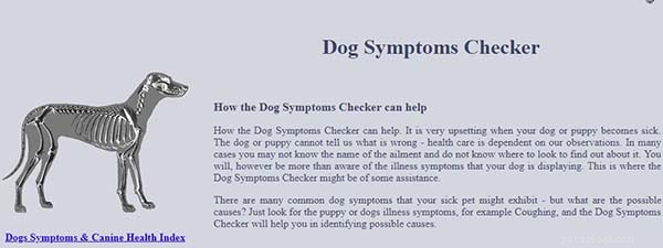 Identify Your Dog’s Health Issues Quickly: Top 5 Online Symptom Checkers