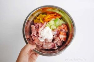 Dog Vitamin Essentials: Safe Supplements & Common Pitfalls