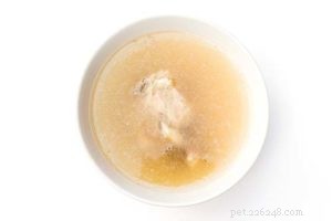 How to Safely Treat Your Dog’s Diarrhea at Home