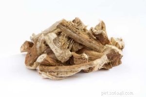 How to Safely Treat Your Dog’s Diarrhea at Home