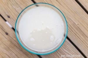 How to Safely Treat Your Dog’s Diarrhea at Home