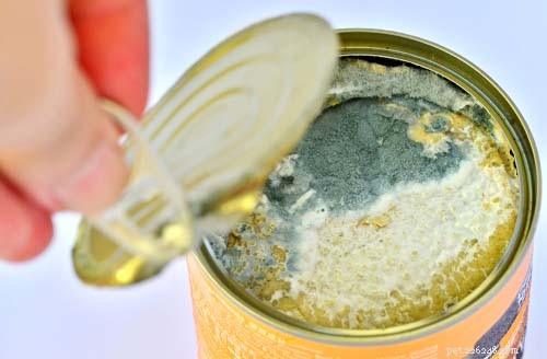 5 Toxic Ingredients Hidden in Pet Foods & Products – Keep Your Pet Safe