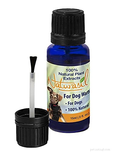 How to Identify and Treat Dog Mouth Warts: A Pet Owner’s Guide