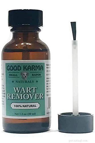 How to Identify and Treat Dog Mouth Warts: A Pet Owner’s Guide