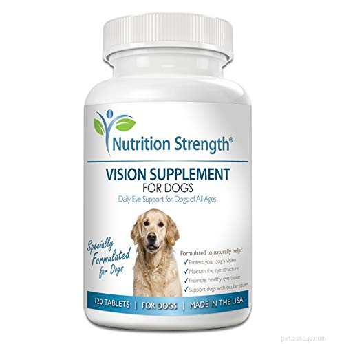 Understanding Nuclear Sclerosis in Dogs: Signs, Diagnosis, and Care
