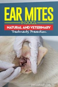 Ear Mites in Dogs: Recognizing Symptoms, Effective Treatments & Prevention Strategies