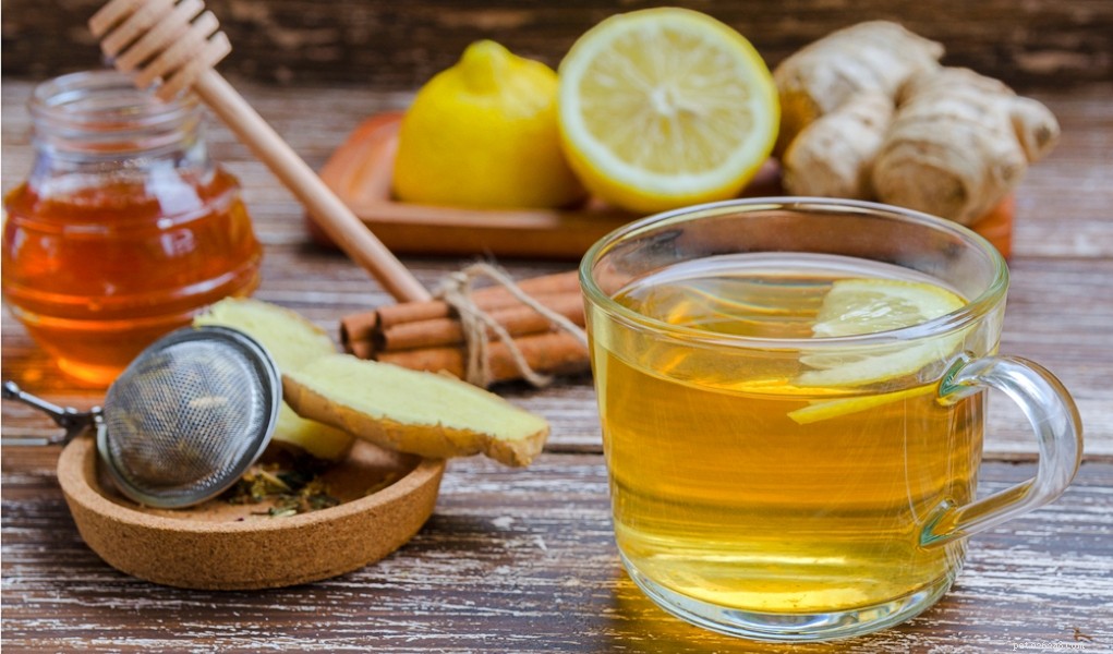 Top 10 Proven Home Remedies for Dogs: Save Money & Keep Your Pet Healthy