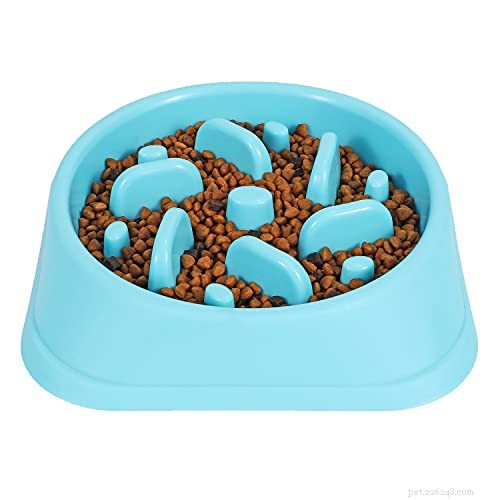 6 Proven Ways to Prevent and Treat Dog Bloat (GDV)