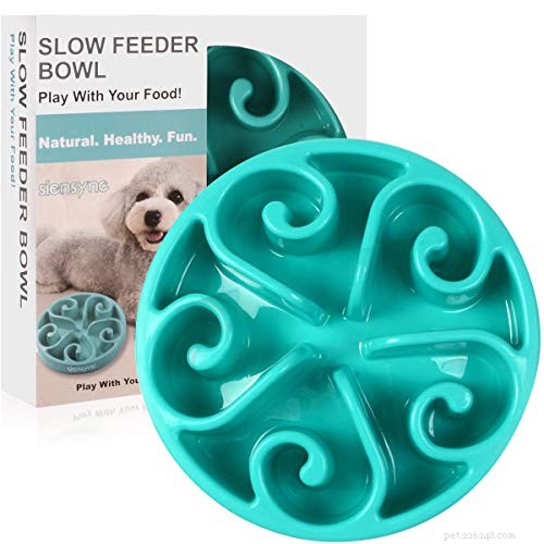 6 Proven Ways to Prevent and Treat Dog Bloat (GDV)