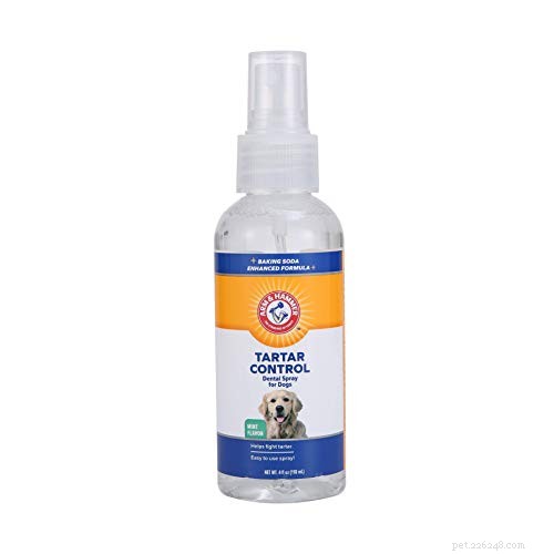 Dog Teeth Whitening: Explore Trusted Options for a Healthier Smile