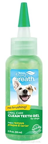 Dog Teeth Whitening: Explore Trusted Options for a Healthier Smile