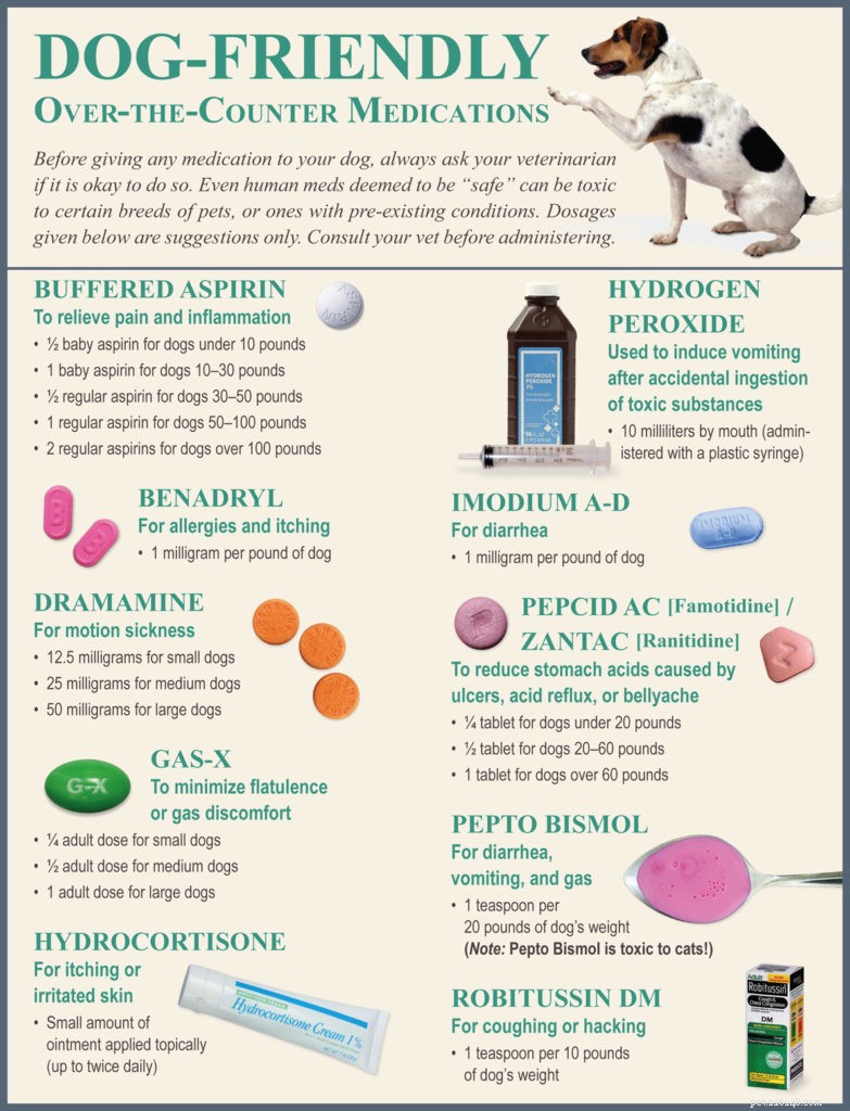 Expert Guide to Dog Pain Management: Spotting and Easing Canine Pain