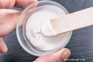 6 Effective Home Remedies for Dry Skin in Dogs
