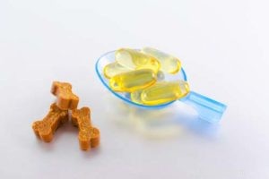 Preventing Heart Attacks in Dogs: Essential Tips for a Healthy Canine Heart