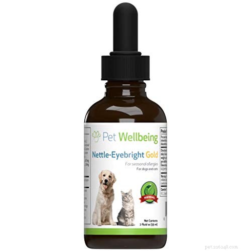 Understanding Dry Eye in Dogs: Causes, Symptoms, and Effective Treatments