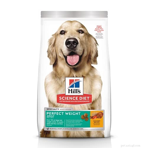 30-Day Dog Weight Loss Plan: Safe & Effective Steps to Slim Your Overweight Pet