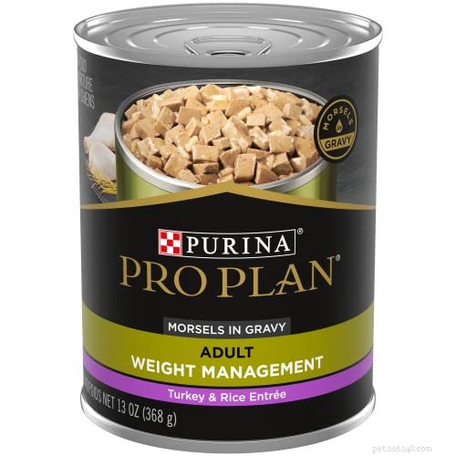 30-Day Dog Weight Loss Plan: Safe & Effective Steps to Slim Your Overweight Pet