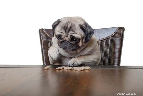 30-Day Dog Weight Loss Plan: Safe & Effective Steps to Slim Your Overweight Pet