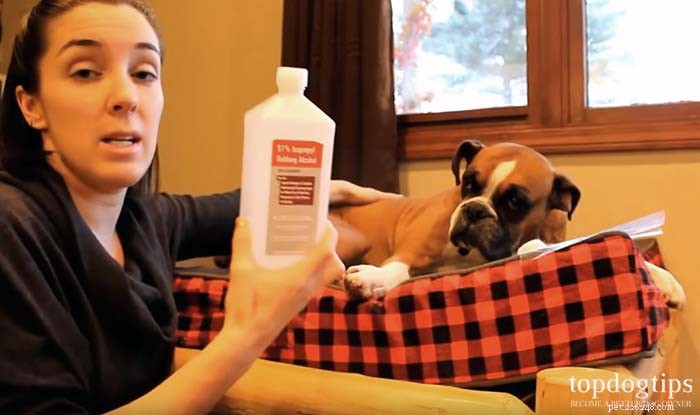 Safe Tick Removal for Dogs: A Step‑by‑Step Guide