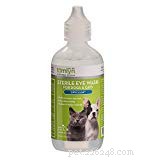 Comprehensive Guide to Preventing and Treating Dog Eye Infections – Evidence‑Based Tips