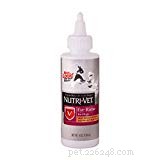 Comprehensive Guide to Preventing and Treating Dog Eye Infections – Evidence‑Based Tips