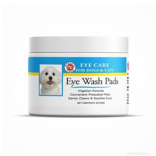 Comprehensive Guide to Preventing and Treating Dog Eye Infections – Evidence‑Based Tips