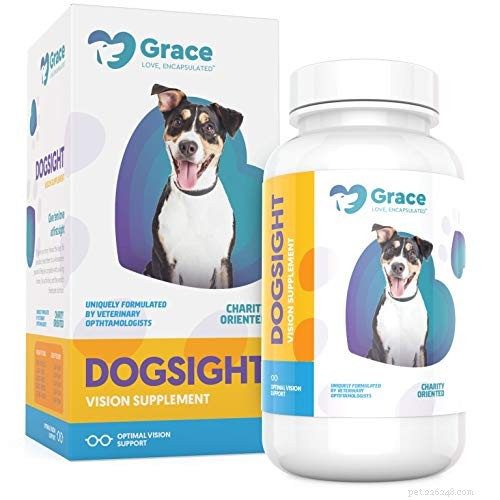 Lenticular Sclerosis in Dogs: Causes, Symptoms, Treatment & Nutrition Guide
