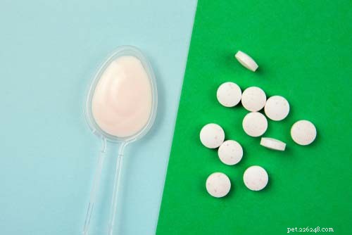 Top 10 Science-Backed Benefits of Probiotics for Your Dog
