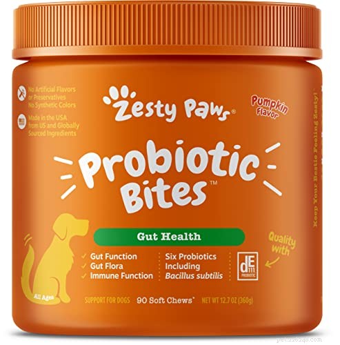 Top 10 Science-Backed Benefits of Probiotics for Your Dog