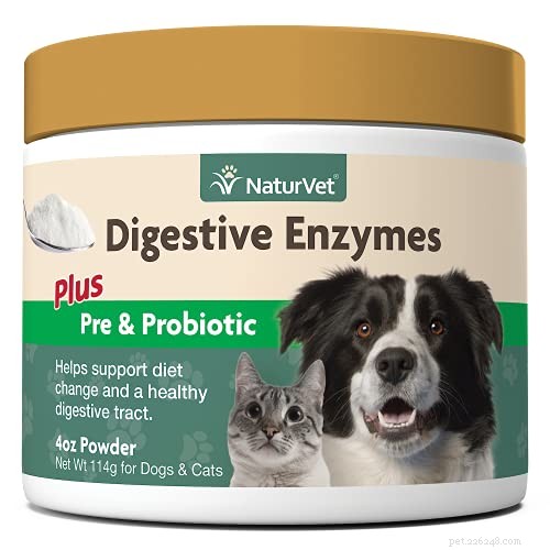 Top 5 Proven Home Remedies to Relieve Dog Gas