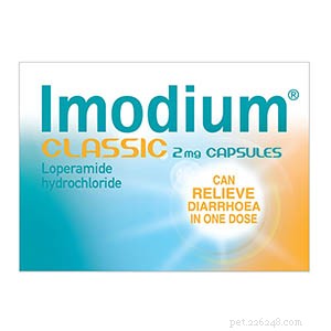15 Human Medications Safely Used in Dogs (Under Vet Supervision)