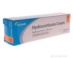 15 Human Medications Safely Used in Dogs (Under Vet Supervision)