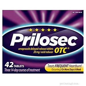 15 Human Medications Safely Used in Dogs (Under Vet Supervision)