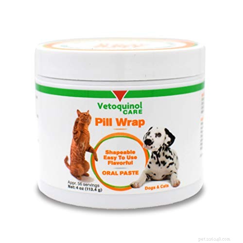 Safe & Effective Ways to Administer Medicine to Your Dog