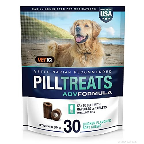 Safe & Effective Ways to Administer Medicine to Your Dog