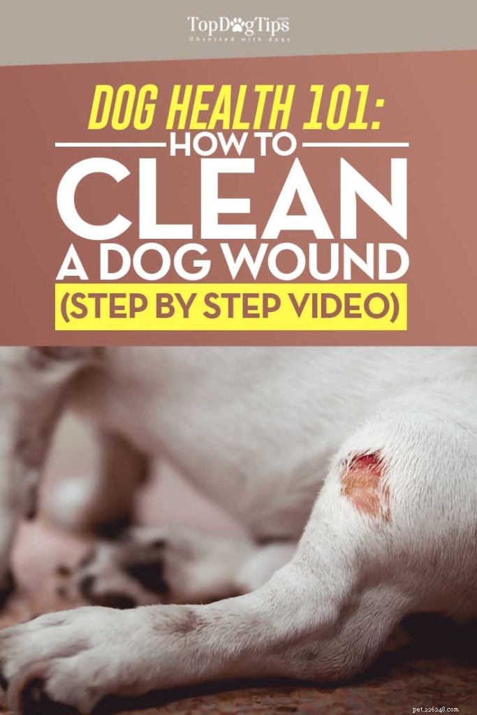 Expert Guide: Clean Your Dog s Wound Safely at Home
