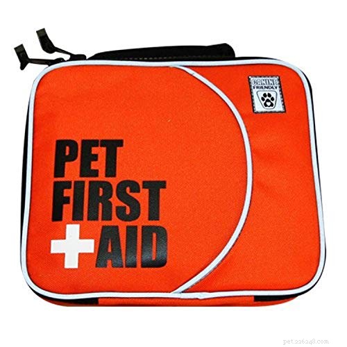 How to Safely Monitor Your Dog’s Vital Signs for Early Health Detection
