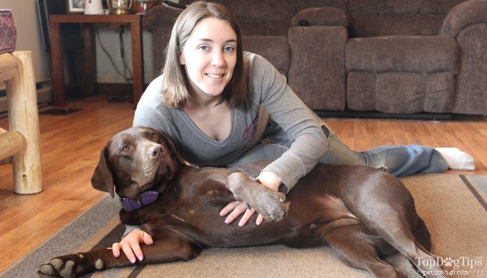 How to Safely Monitor Your Dog’s Vital Signs for Early Health Detection