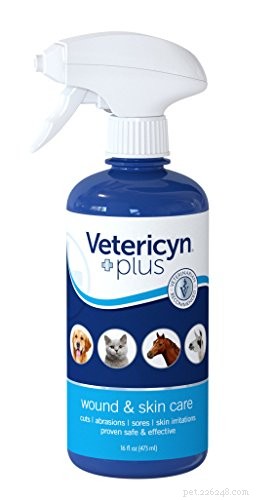 7 Essential Steps to Keep Your Dog s Paws Healthy and Pain-Free