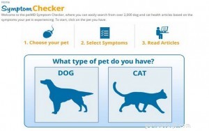 Trusted Online Dog Symptom Checker - Identify Illnesses Fast