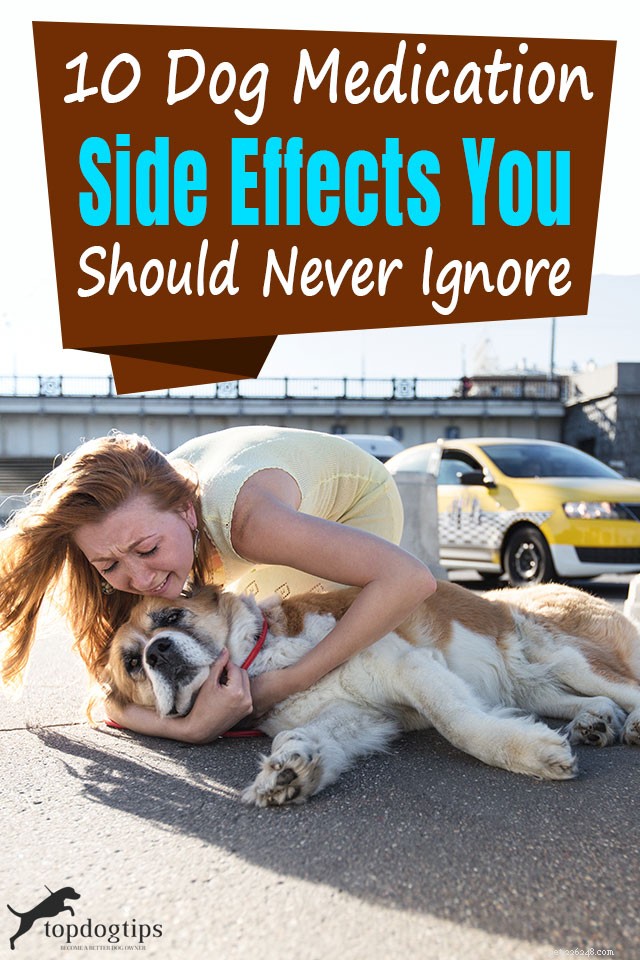 Top 10 Dog Medication Side Effects You Must Watch For