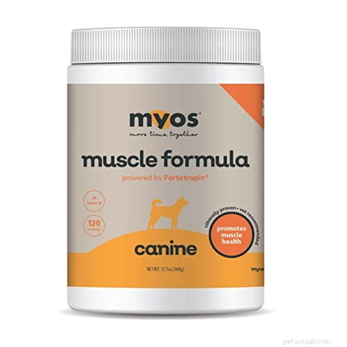 Dog Muscle Atrophy Explained: Causes, Prevention, and Treatment Options