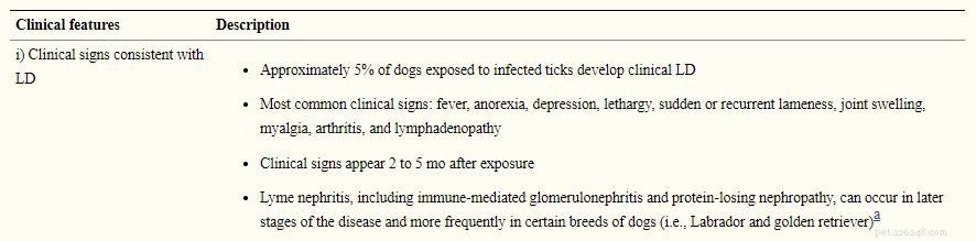 10 Proven Ways to Protect Your Dog from Lyme Disease