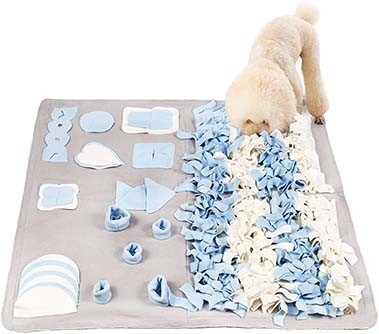 8 Must-Have Products to Keep Your Blind Dog Safe and Happy