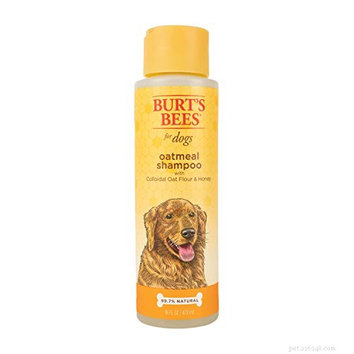 Crusty Scabs on Your Dog’s Back: Causes, Symptoms, and Effective Treatments