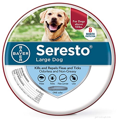 Crusty Scabs on Your Dog’s Back: Causes, Symptoms, and Effective Treatments